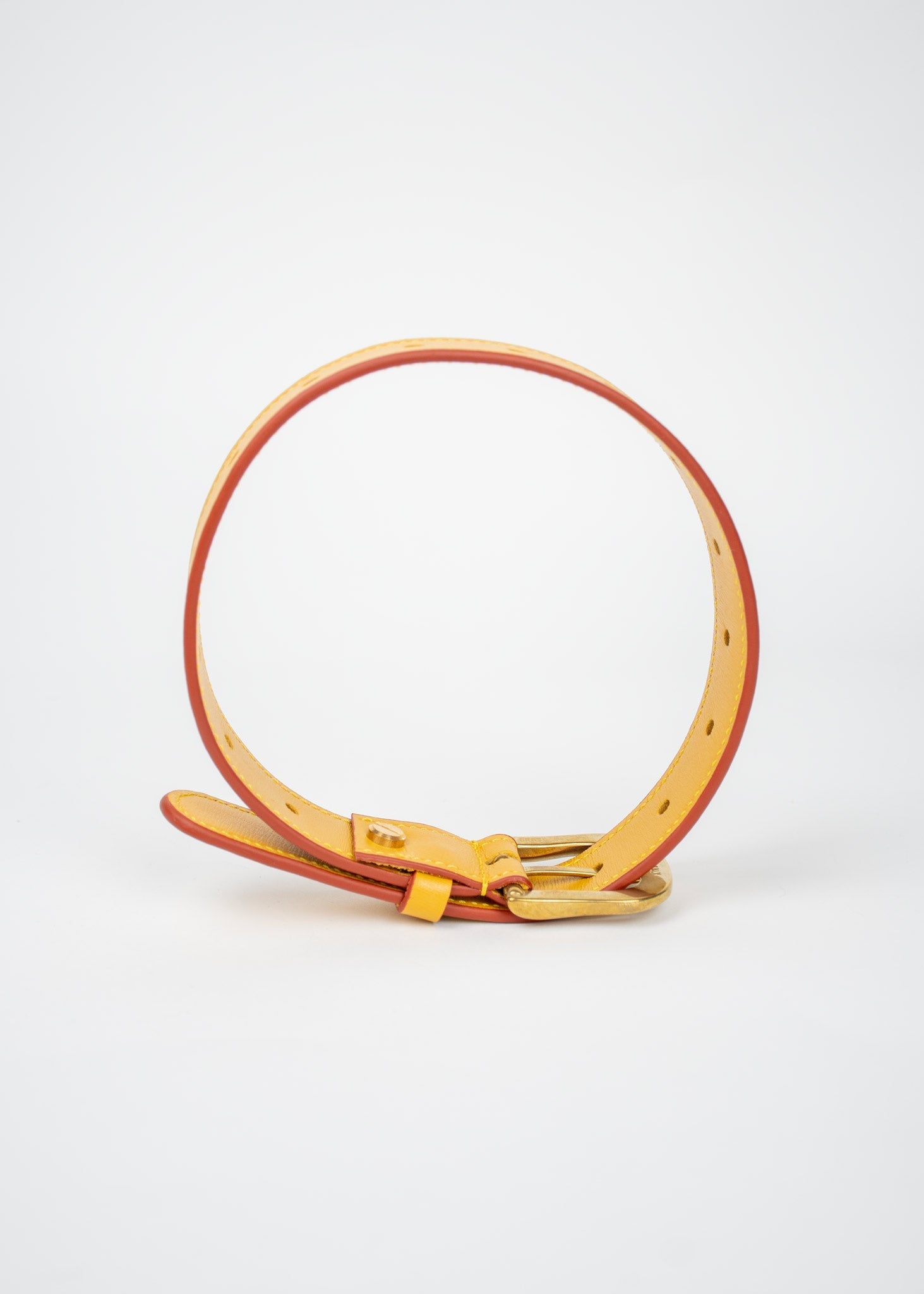 Dog-Collar ANTON HOJDA | Official Store