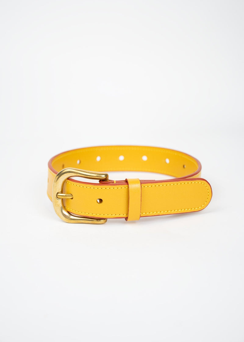 Dog-Collar ANTON HOJDA | Official Store