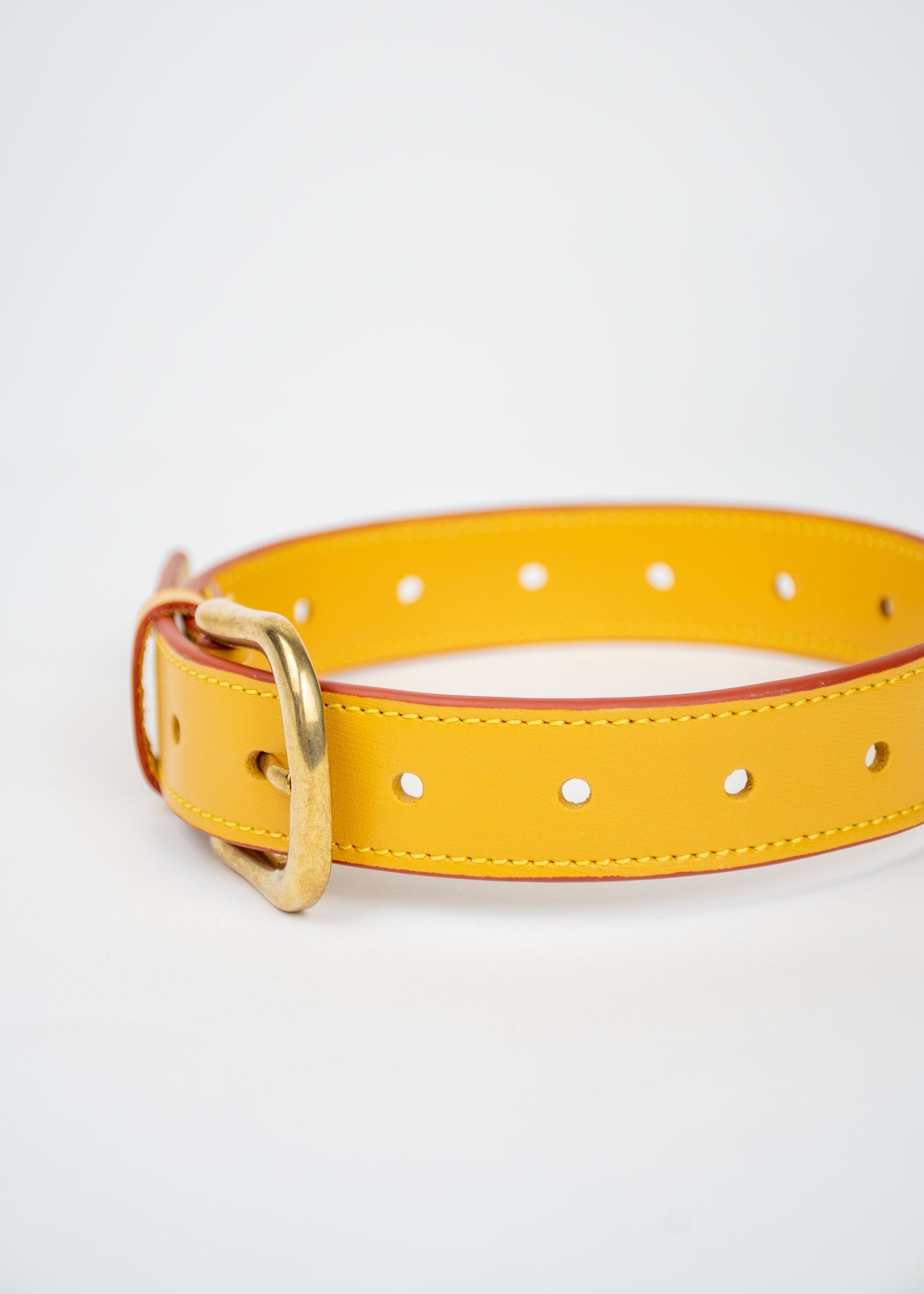 Dog-Collar ANTON HOJDA | Official Store